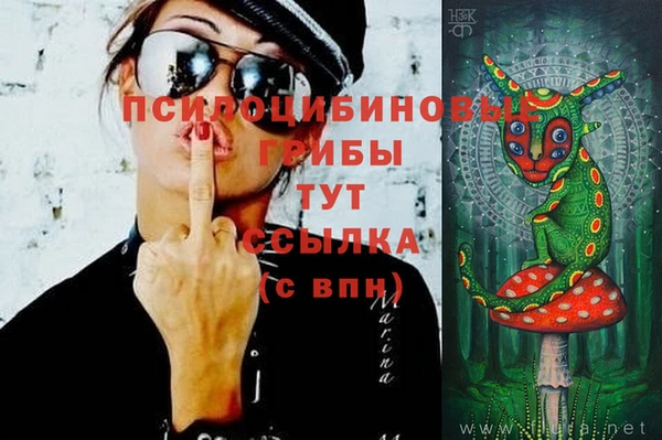 экстази Абаза