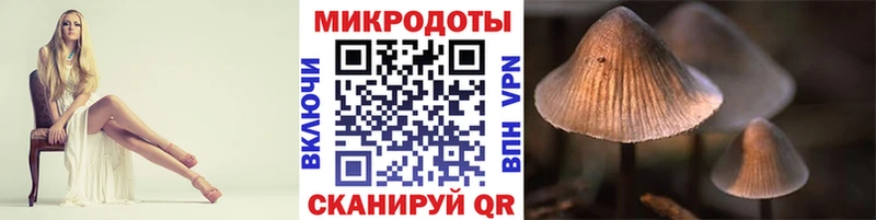 площадка состав Александровск-Сахалинский Галлюциногенные грибы Cubensis где можно купить